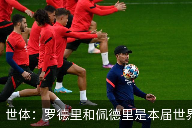 世体：罗德里和佩德里是本届世界杯最可靠的中场组合