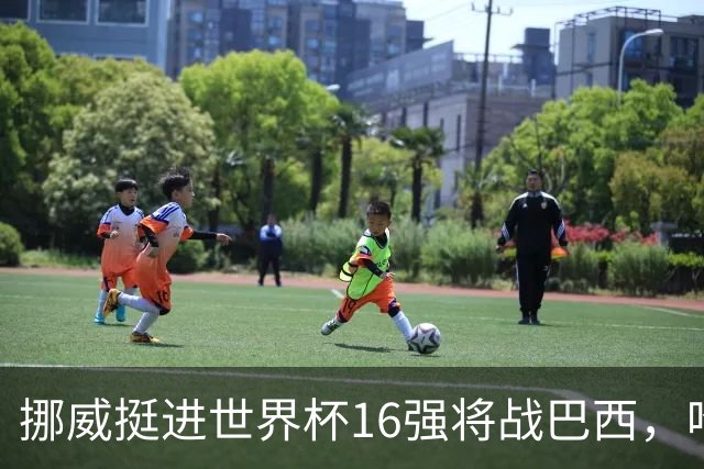 挪威挺进世界杯16强将战巴西，哈兰德发声