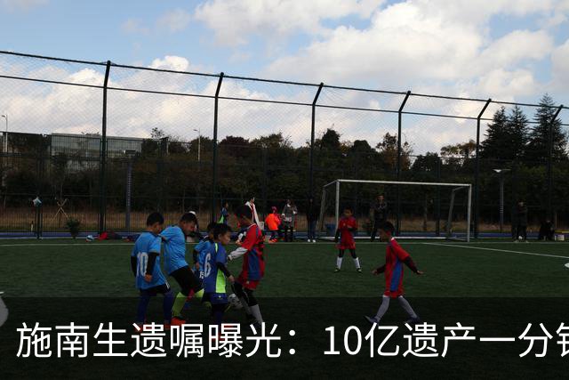 施南生遗嘱曝光：10亿遗产一分钱都不留给徐克，送朋友也不给前夫