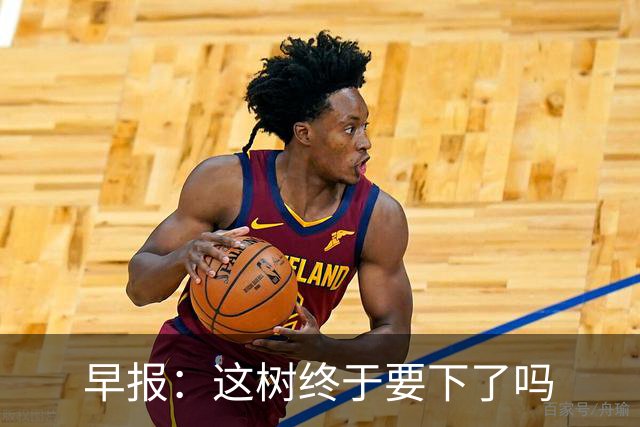 早报：这树终于要下了吗