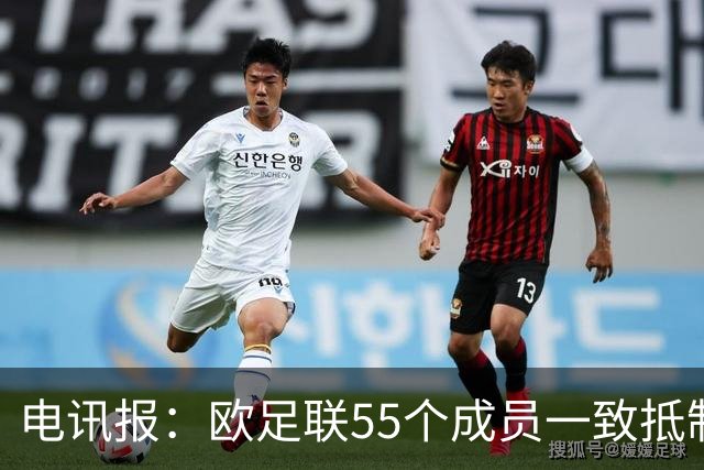 电讯报：欧足联55个成员一致抵制世界杯私有计划，30多个成员发言