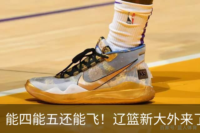 能四能五还能飞！辽篮新大外来了，比莫兰德更适配，乌戈捡到宝了