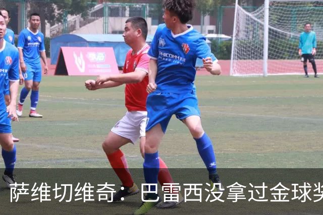 萨维切维奇：巴雷西没拿过金球奖是耻辱 卡纳瓦罗萨默尔都不如他