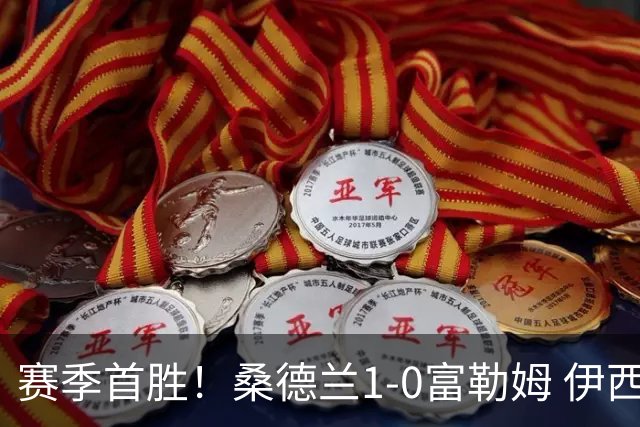 赛季首胜！桑德兰1-0富勒姆 伊西多尔破门+单刀球中柱 迪亚拉助攻